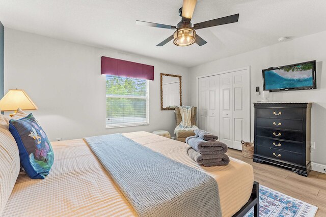 パラダイス フォールズ - ステイ フォー 13