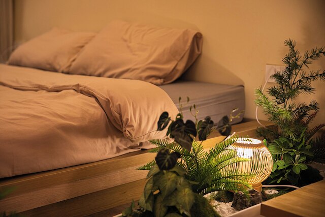 ホーム ホームステイ