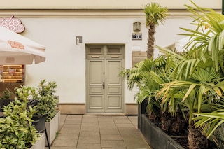 エクレクティック バイオレット - ロフトアフェア