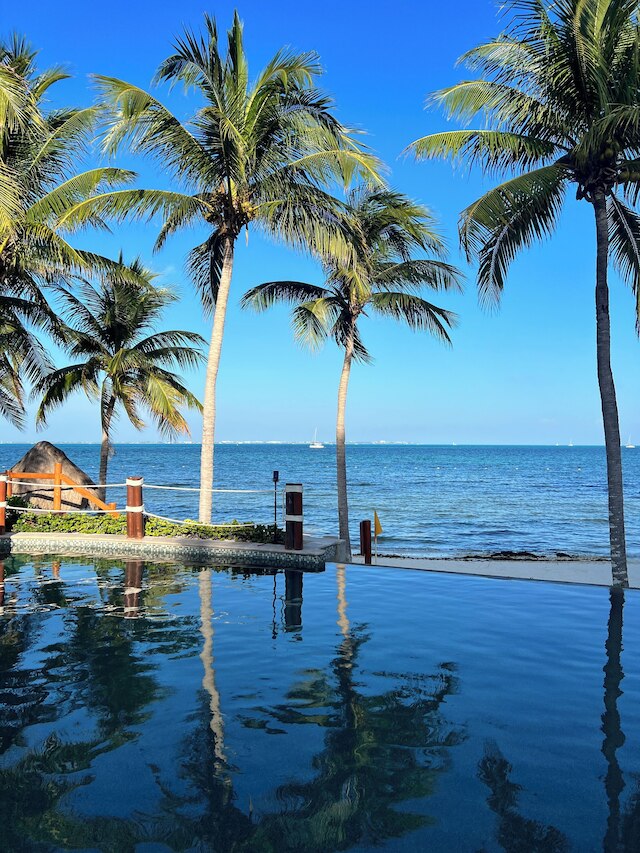 ガルサ ブランカ