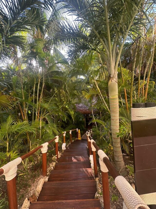 ガルサ ブランカ