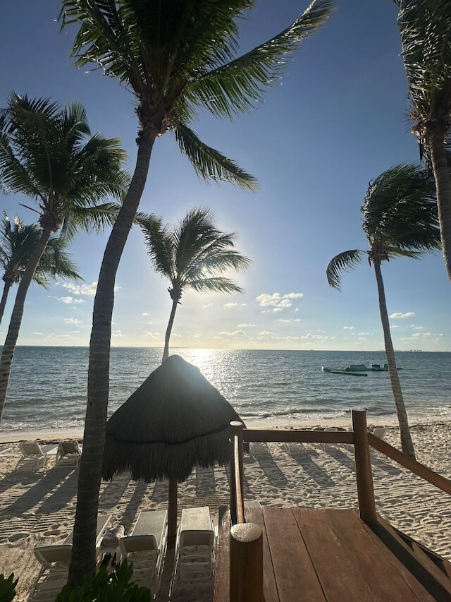 ガルサ ブランカ