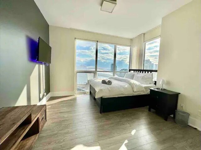 ハーバー ダウンタウン CN タワー