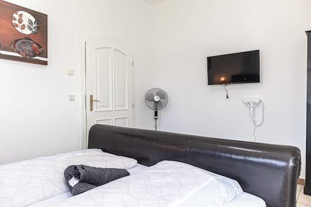 ラグジュアリー ガーデン ヴィラ スリープス 16 ゲスト