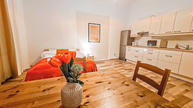 クラシック 2 ベッドルーム ビエニーズ アパートメント ニア ダウンタウン