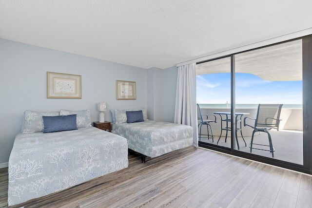 ホライゾンズ 202