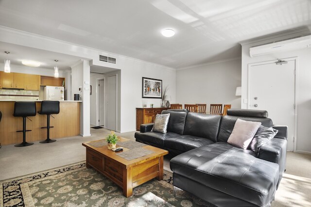 セントラル 2 ベッド パッド ウィズ テニスコート,