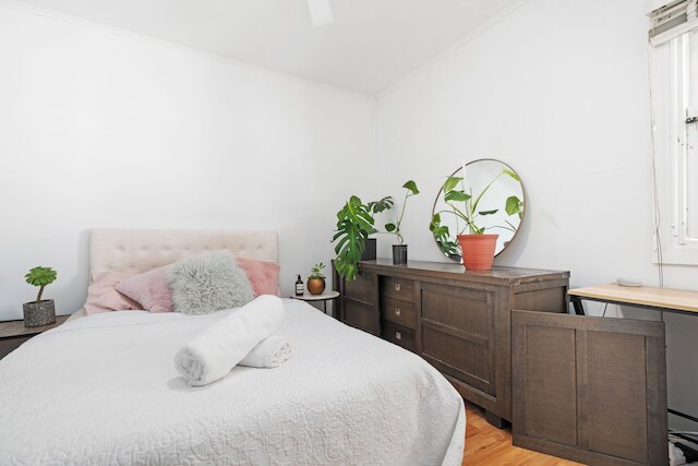 ビーチハウス 2km CBD