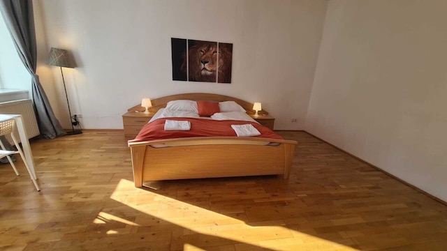 コンフォータブル 3ベッドルーム アパートメント ベルヴェデーレ エリア