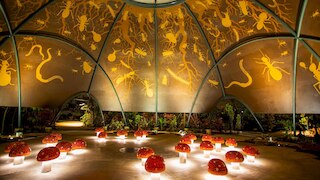 1 ベッドルーム ビューティフル ユニット イン プライム ロケーション