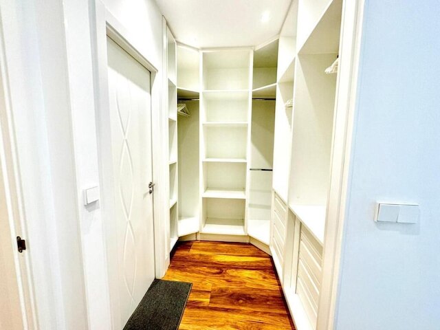 オシュン ベニス サラマンカ II