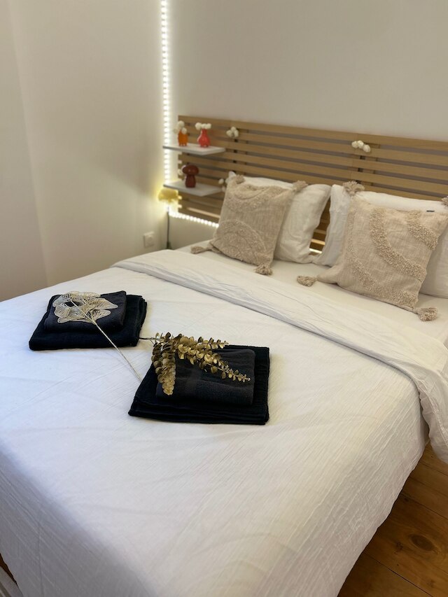 ラ メゾン ドゥ パリ エスト カルム エ モダーン