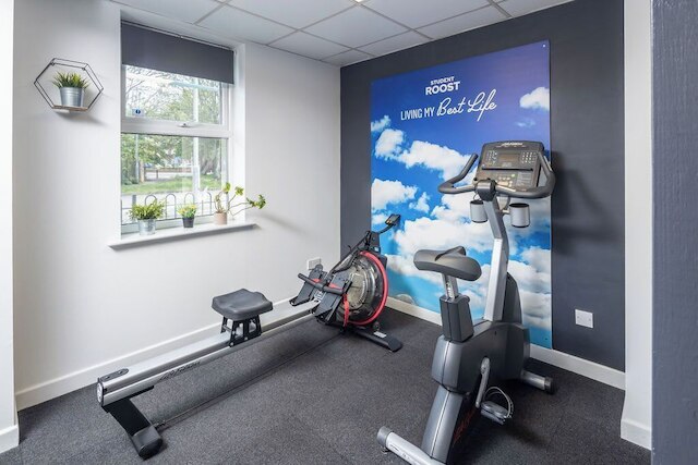 スチューデント オンリー マートル コート