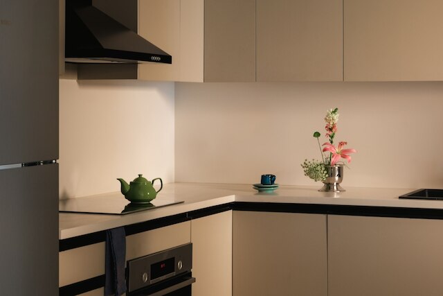 ブラスベル ザマレク ディプロマティック ゾーン