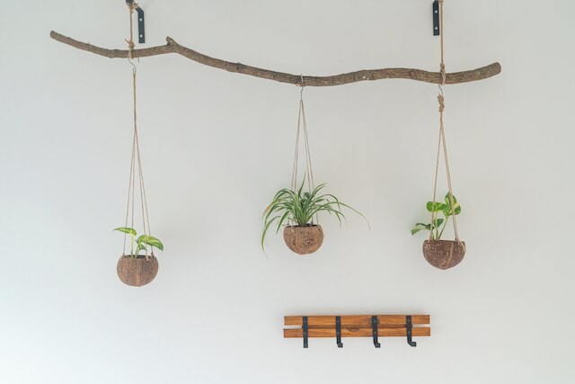 インドネシア エコ ツアー ホームステイ