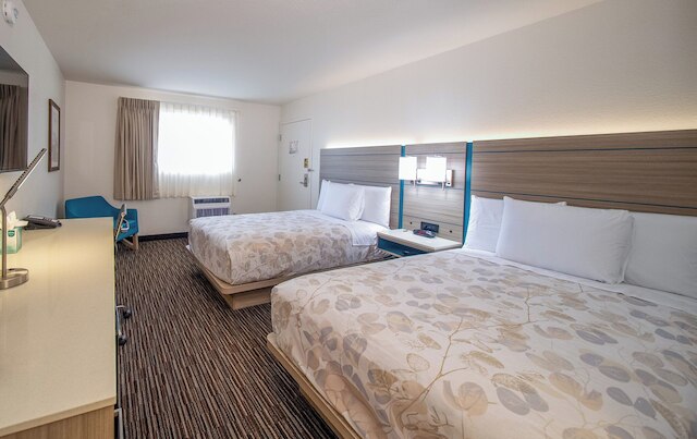 レモン ハイツ イン