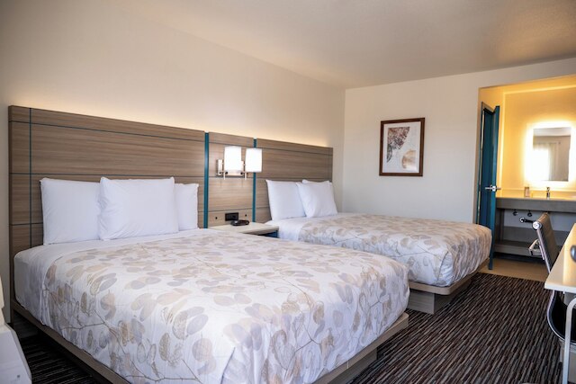 レモン ハイツ イン