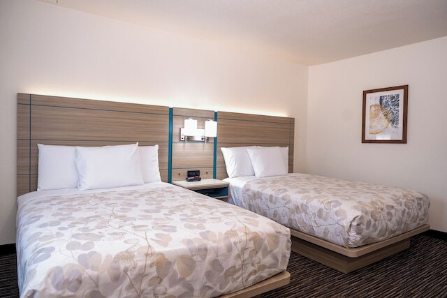 レモン ハイツ イン