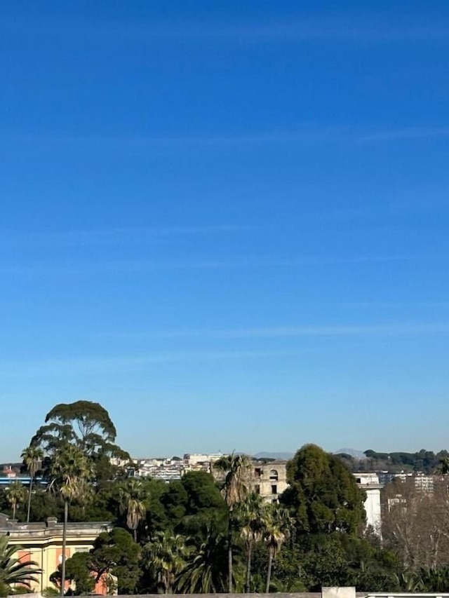 ナポリチュディネ