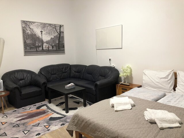 チャーミング 1ベッドルーム アパートメント ウィズ ガーデン ダニューブ