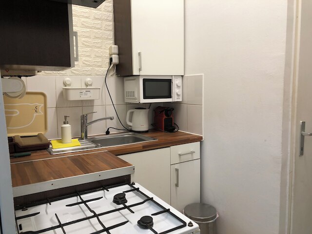 チャーミング 1ベッドルーム アパートメント ウィズ ガーデン ダニューブ