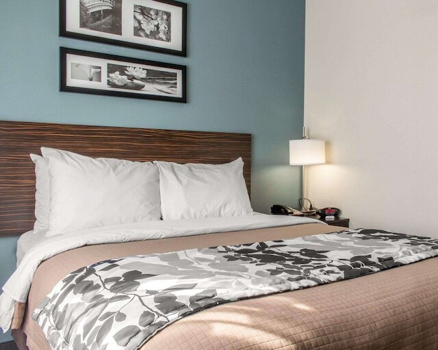 スリープ イン コニー アイランド