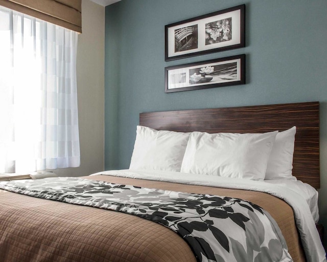 スリープ イン コニー アイランド