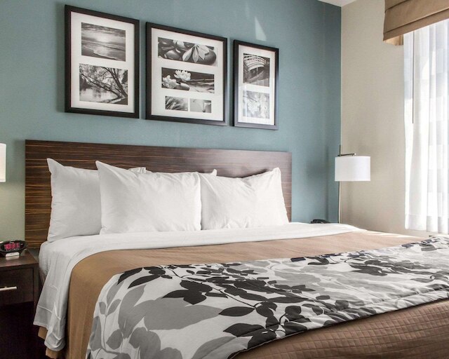 スリープ イン コニー アイランド