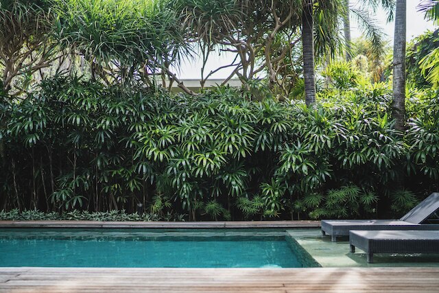 アイヴィラ、エコシステム