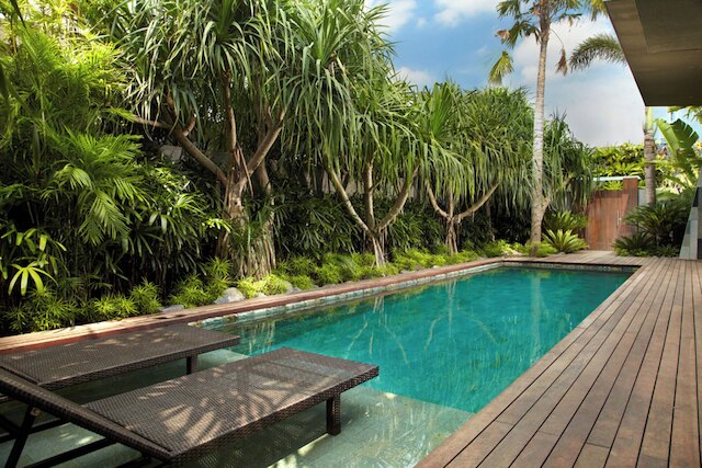 アイヴィラ、エコシステム