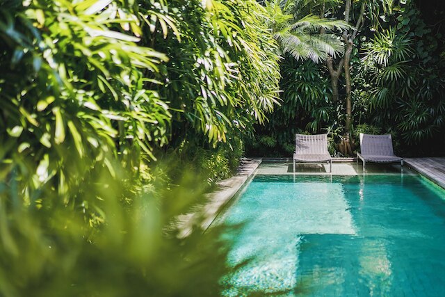 アイヴィラ、エコシステム