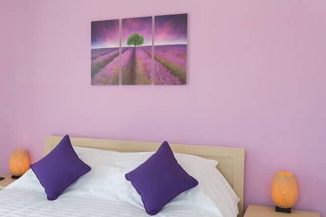 ライス フィールド ホームステイ