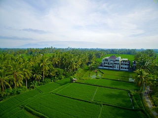 ザ ラックス ウブド、ア ブティック ホテル