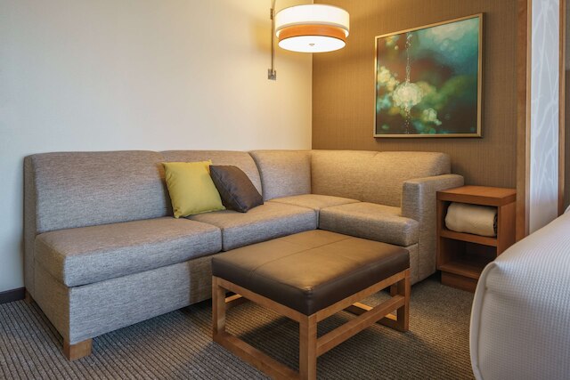 ハイアット プレイス ヒューストン / ガレリア