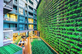 クロスバイブチェンマイディセム