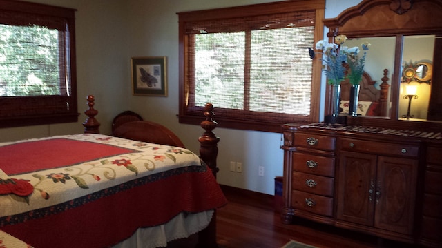 コナ パレス イン キャプテン クック