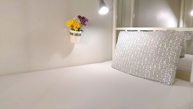 サルサ ホステル