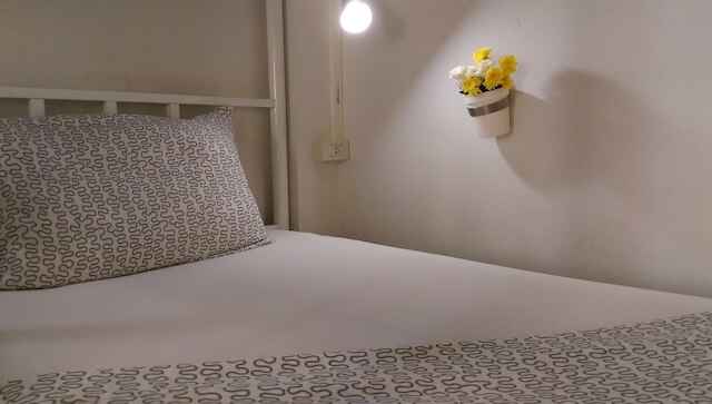 サルサ ホステル