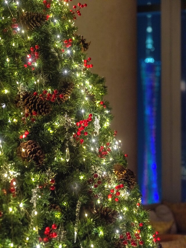 パーク ハイアット広州