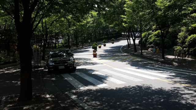 スペイシアス アパートメント イン セントラル ソウル