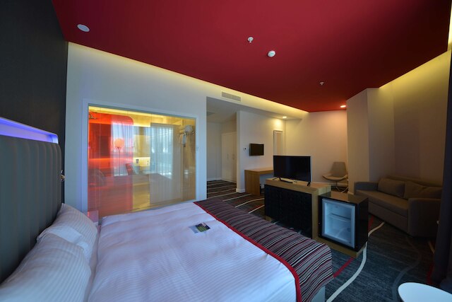 パーク イン バイ ラディソン アンカラ チャンカヤ