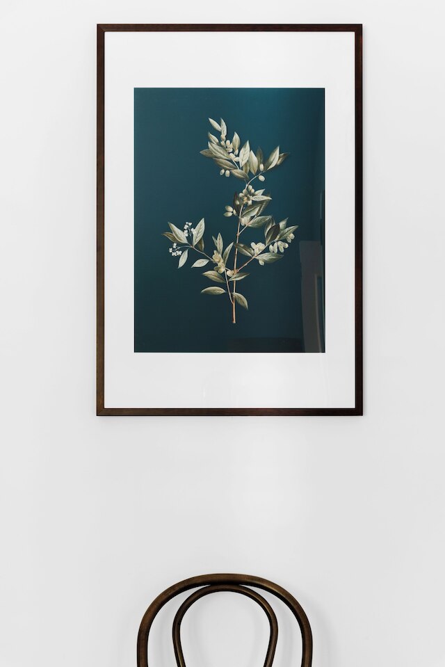 ホテル チャリス ポッツ ポイント