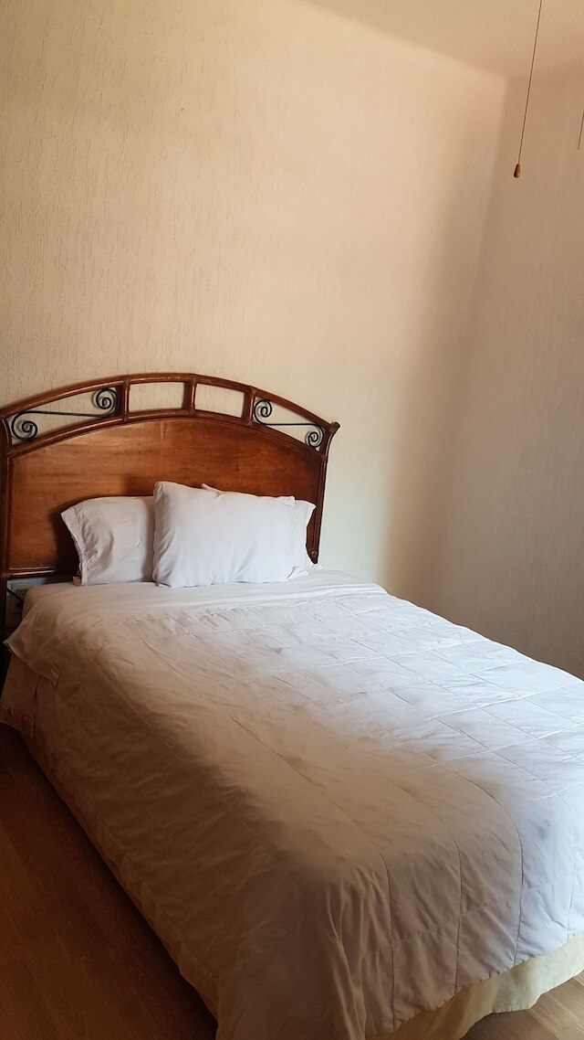 シュタインハウス エミリオ カステラル