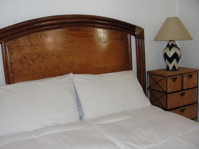 シュタインハウス エミリオ カステラル