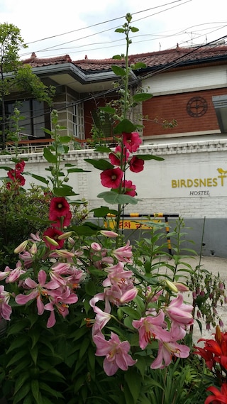 バーズネスト ホステル ホンデ