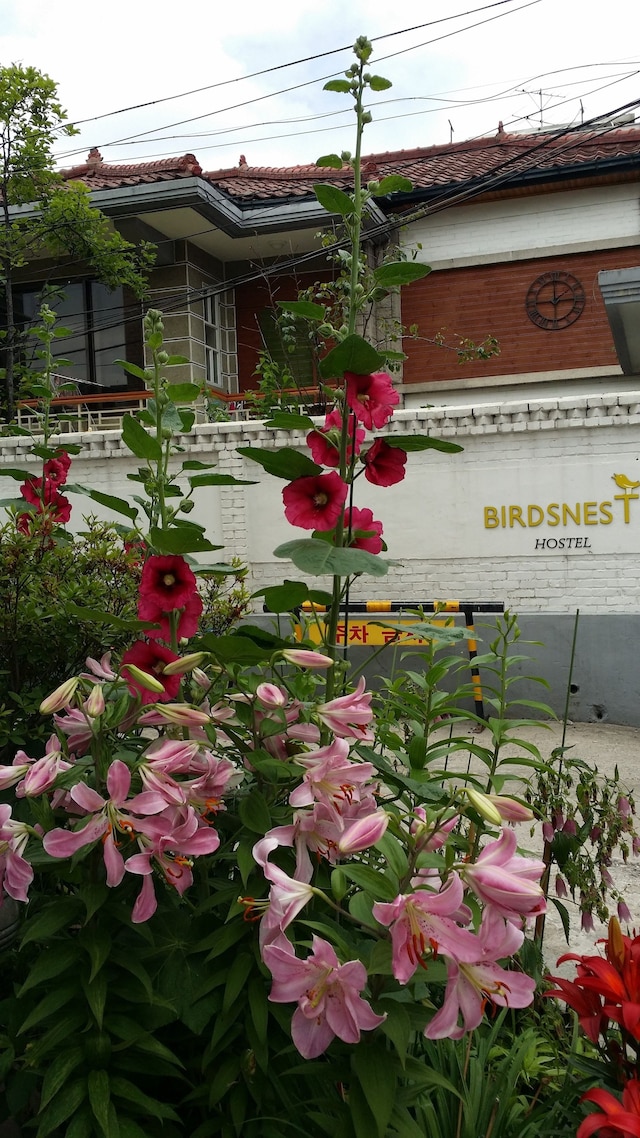 バーズネスト ホステル ホンデ