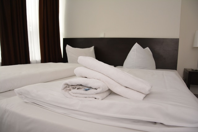 モーゼル ホテル フランクフルト