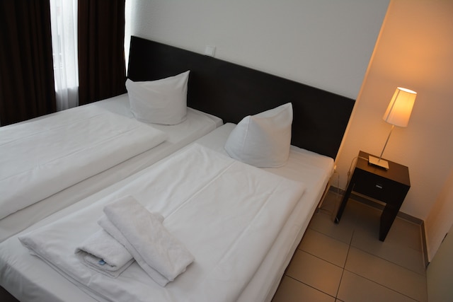 モーゼル ホテル フランクフルト