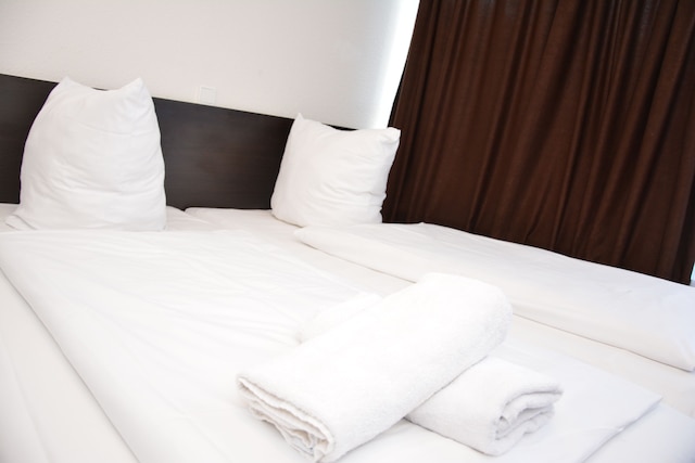 モーゼル ホテル フランクフルト