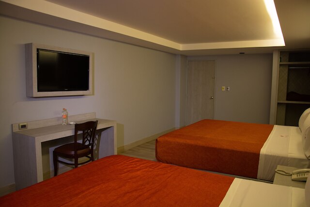 ホテル エル セナドール